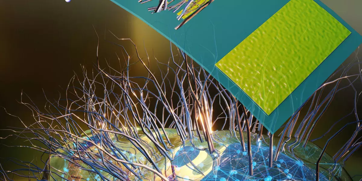 Bio-Nanodrähte erschnüffeln Krankheiten