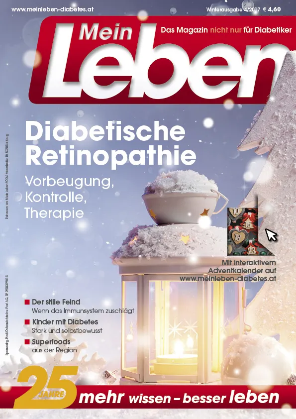 Cover Ausgabe 4/2017